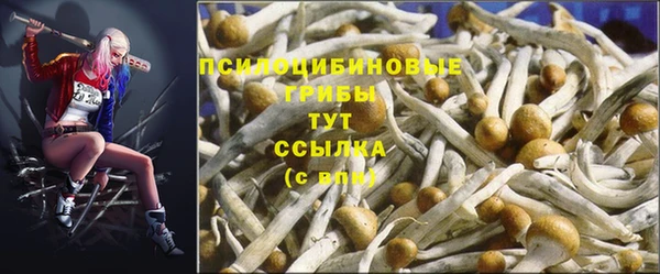 экстази Михайловск