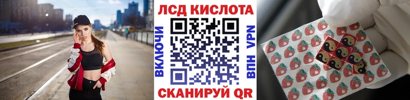 дарнет шоп Звенигово Наркотические марки 1,5мг
