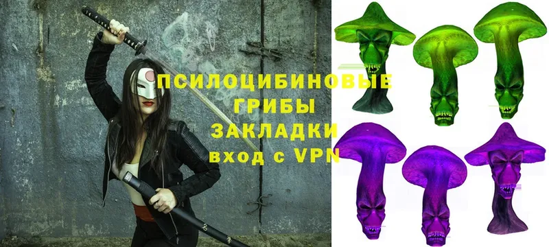 маркетплейс как зайти  Звенигово  Псилоцибиновые грибы Cubensis 