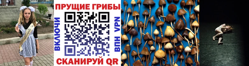 Псилоцибиновые грибы Magic Shrooms  Звенигово 